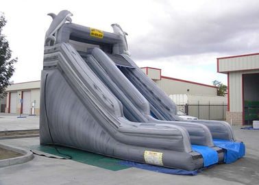 Slide Double Way Slide Inflatable Komersial Abu-abu PVC Luar