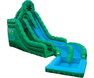 Emerald Green Frog Fun Water Slides, Inflatable Double Rush Slip Wet Slide