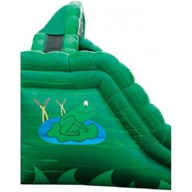 Emerald Green Frog Fun Water Slides, Inflatable Double Rush Slip Wet Slide