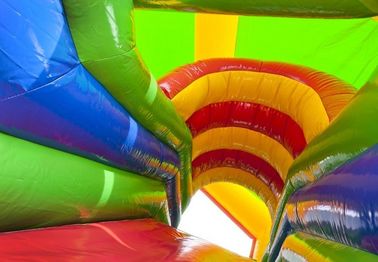 Jumper Lion Bounce House Combo Dengan Atap / Mutiplay Overdekt Leeuw Toddler Bouncy Castle