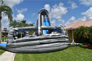 Taman Disesuaikan Jalur Ganda Inflatable Water Slides Pool For Fun