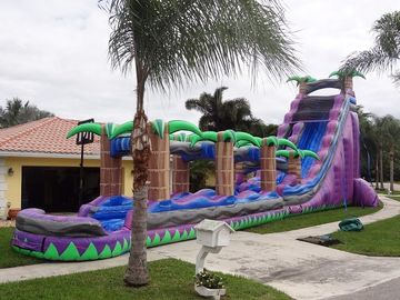 Purple Paradise Inflatable Water Slides Dengan Pool / Adult Inflatable Wet Slide