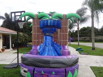 Purple Paradise Inflatable Water Slides Dengan Pool / Adult Inflatable Wet Slide