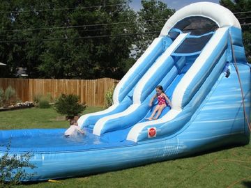 Mainkan Inflatable Water Slides Untuk Anak-Anak / Dolphin Inflatable Pool Water Slide
