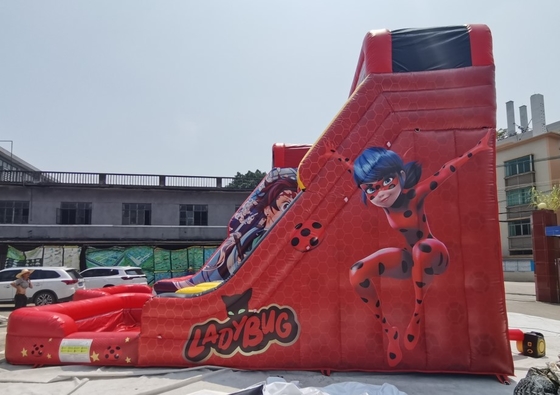 PVC Tarpaulin Beetles Girl Inflatable Water Slides Jalur Ganda Dengan Kolam Renang