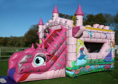 Pencetakan Logo Pink Fairytale Bounce Dan Slide Combo Castle Tiup Untuk Anak-Anak