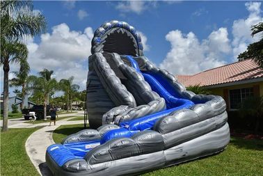 Komersial Biru Besar Inflatable Slides Cetak Logo Wild Rapids 24ft Ganda Lane Slide Dengan Kolam Renang