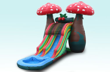 Luar Biasa Khusus 23Ft Jamur Inflatable Water Slides Dengan Kolam Kecil Untuk Pesta