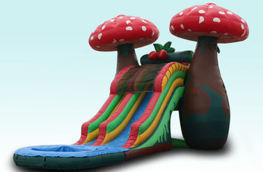 Luar Biasa Khusus 23Ft Jamur Inflatable Water Slides Dengan Kolam Kecil Untuk Pesta