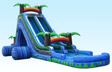 24Ft Wild Splash Slide, Blue Cliff Jungle Inflatable Double Lane Slide