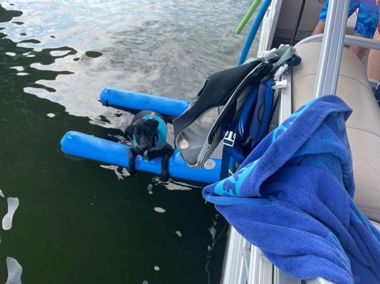 Non-Slip EVA Foam Portable Foldable Dog Boat Water Ramp Untuk Air Pet Bantuan Tangga Anjing Ramp Untuk Anjing Kecil Hingga 230 Lbs
