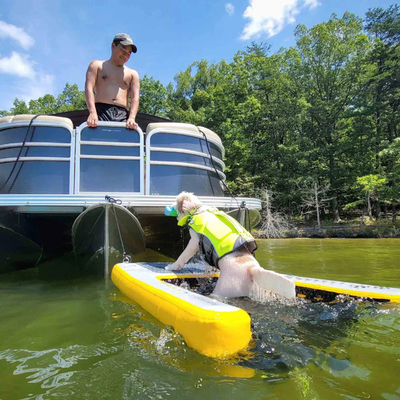 Ramp Air Inflatable Ekstra Besar Untuk Perahu,Kolam Anjing Ramp Air Inflatable Ringan Anjing Soft Ladder Untuk Anjing,Rung Platform