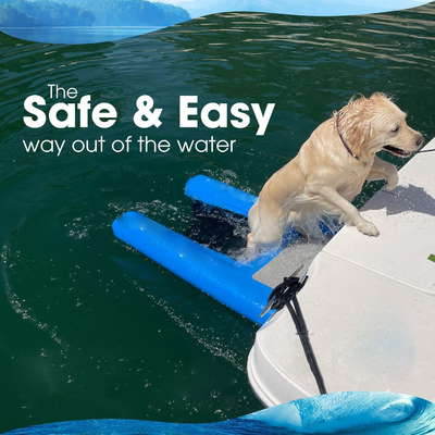Bantuan anjing keluar dari air DWF PVC Tarpaulin Dog Ladder Dog Water Ramp Inflatable Untuk Untuk berenang hewan peliharaan