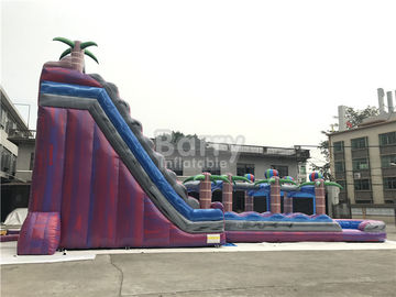 Purple Adult Kids Inflatable Water Slides Dengan Kolam Renang,