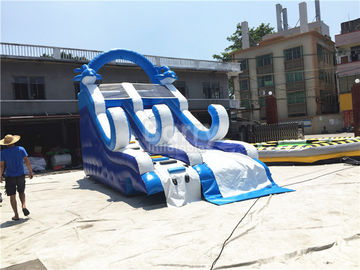 Slide Dolphin kecil biru karet dengan bahan PVC / meledakkan memanjat dinding