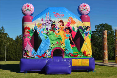 Fire-Resistant Inflatable Bouncer, Blow Up Disney Princess Jumping Castle