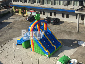 PVC Tarpaulin Double Lanes Inflatable Air Slides Frog Untuk Kolam Renang