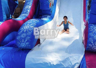 Slide Air Tiup 0,55mm PVC Dengan Kolam / Raksasa Taman Air Taman Hiburan