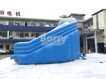 Slide Kolam Tiup Keren Menyenangkan Splash, Bentuk Realistis Slide Air Kura-kura Untuk Kolam Inground