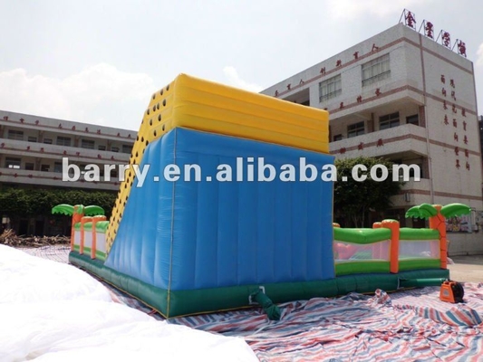ISO 18000 Inflatable Amusement Park Slide Theme Bouncer Castle