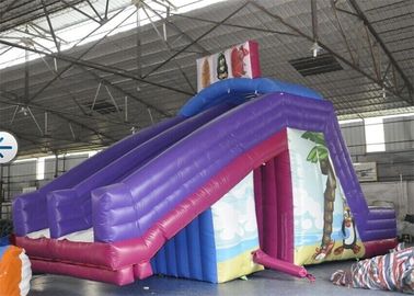 Besar Waterproof Anak Slide Inflatable Komersial Untuk Sewa Kolam Renang