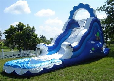 Mini Inflatable Water Slides, Slide Inflatable Pool Kecil Untuk Water Park