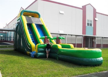 Durable Plato PVC Tarpaulin Inflatable Water Slides, Inflatable Garden Water Slide
