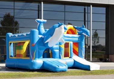 Terkenal Blue Dolphin Party Castle Bounce House Durable PVC Material