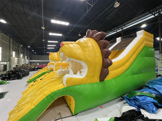Penjaminan Kualitas Singa Slide kolam renang kembung, Slide air kembung untuk kolam renang bawah tanah