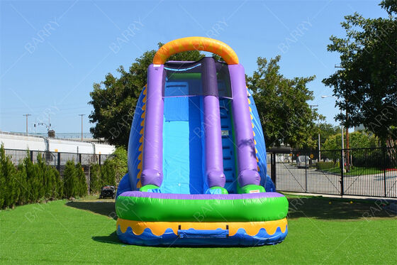 Hot Sale Water Slide Inflatable Commercial Water Slide dengan Kolam Renang untuk Anak-anak Dewasa 22ft