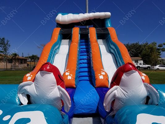 Slide Air Luar Ruangan Big Kahuna Dolphin Tema Slide Air Inflatable Dengan Kolam Renang untuk Anak Dewasa