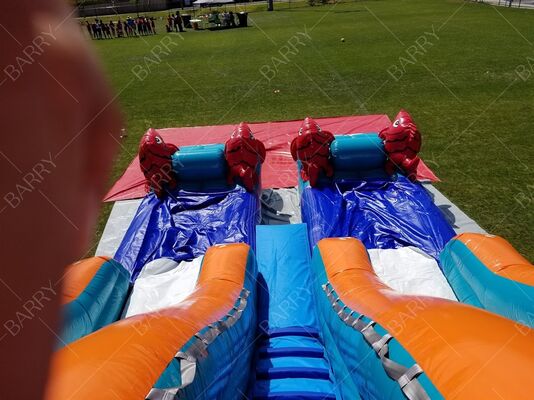 Slide Air Luar Ruangan Big Kahuna Dolphin Tema Slide Air Inflatable Dengan Kolam Renang untuk Anak Dewasa