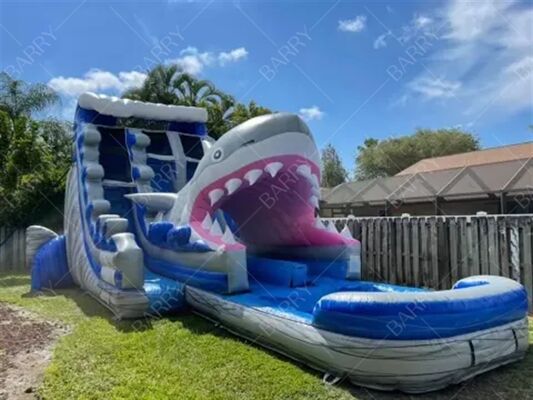 Indoor Outdoor Castillo Inflable Bouncer Shark Theme Slide Dengan Kolam Kolam Air Inflatable Double Slides Untuk Anak-anak