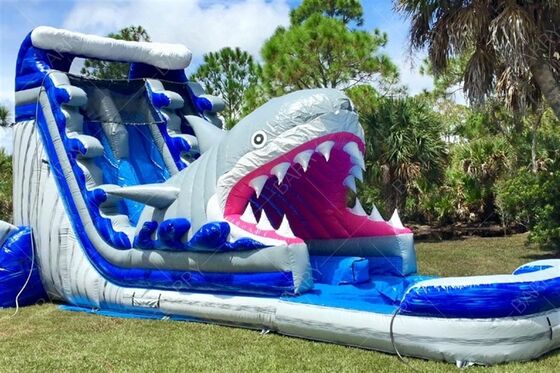 Indoor Outdoor Castillo Inflable Bouncer Shark Theme Slide Dengan Kolam Kolam Air Inflatable Double Slides Untuk Anak-anak