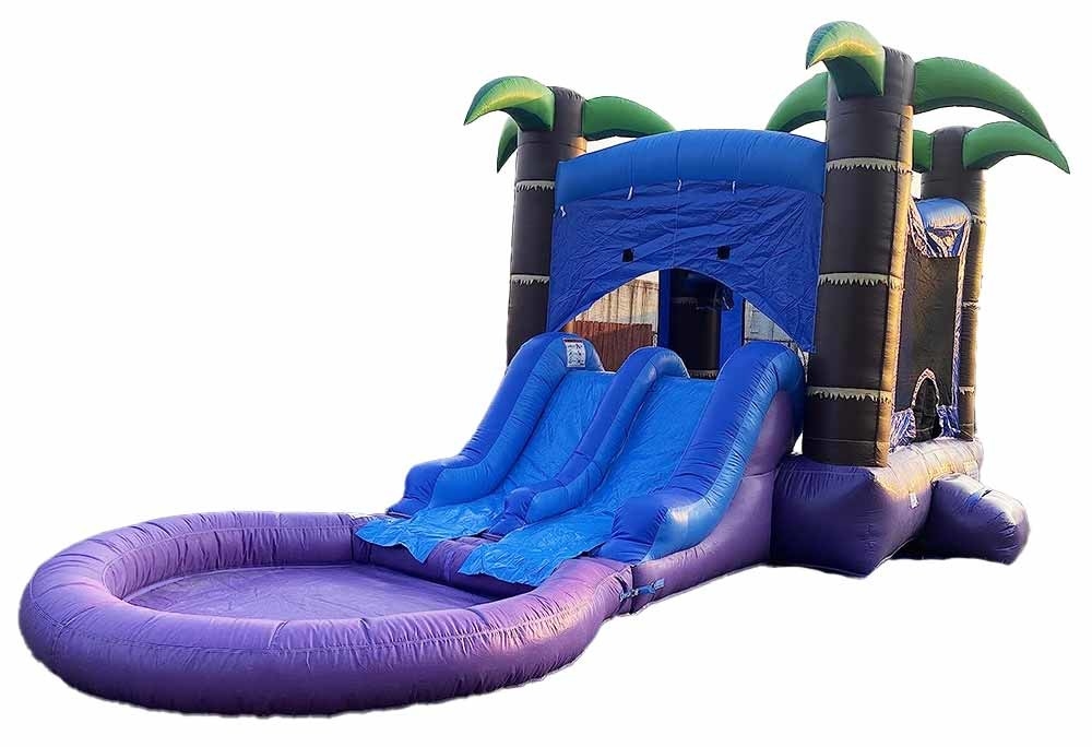Customized Combo Bouncer Dengan 2 Slide Dan Kolam Renang Atau Kering Jumping Castle Dengan Slide Air