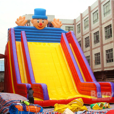 0.55mm PVC Menyesuaikan Inflatable Water Slides Kartun Tema Taman Hiburan Besar