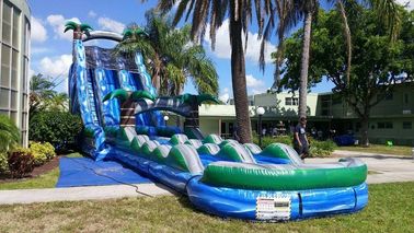 Blue Jungle Theme Large Double Lane Water Slide Dengan Kolam Besar