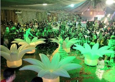 Fantastis Led Lampu Bunga Matahari Tiup Untuk Romantis Proposal Pernikahan