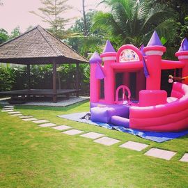 Pink Princess Inflatable Bouncy Castle, kastil tiup melompat Untuk Girl's Party