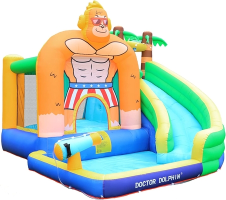 Seluncuran Air Tiup Doctor Dolphin Untuk Rumah Bouncing Air Balita Dengan Kolam Percikan