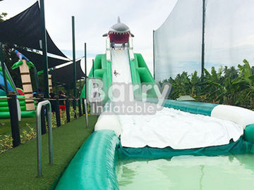 Seluncur Air Tiup Hippo Raksasa Profesional Ukuran Disesuaikan Dengan Kolam Air