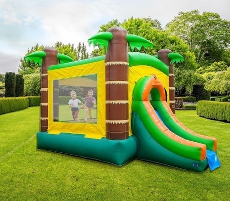 Rumah Bouncing Inflatable dengan Slide untuk Anak-anak