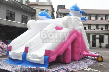 0,55mm Pvc Tarpaulin Bahan Dolphin Pink Inflatable Slide Untuk Kolam Renang