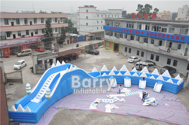 Disesuaikan Seals Tooth Inflatable  Musim Panas Blow Up Water Slides