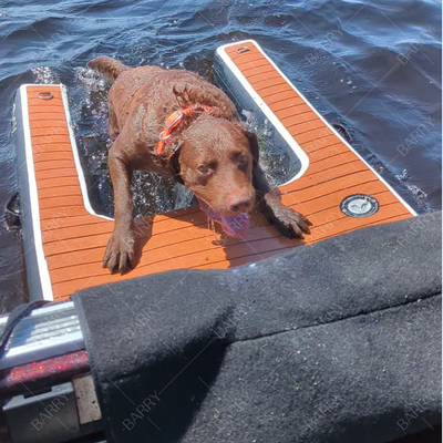 Logo Disesuaikan Diterima Lipat Inflatable Dog Ladder Kolam renang untuk anjing bagasi Dengan kit perbaikan Aksesoris