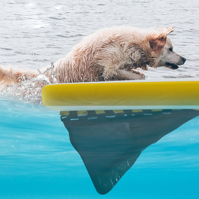 Ramp Air Inflatable Ekstra Besar Untuk Perahu,Kolam Anjing Ramp Air Inflatable Ringan Anjing Soft Ladder Untuk Anjing,Rung Platform