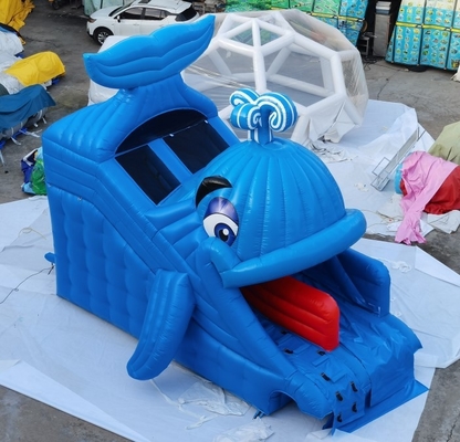 Komersial Inflatable Water Slides Whale Design Halaman Belakang Rumah